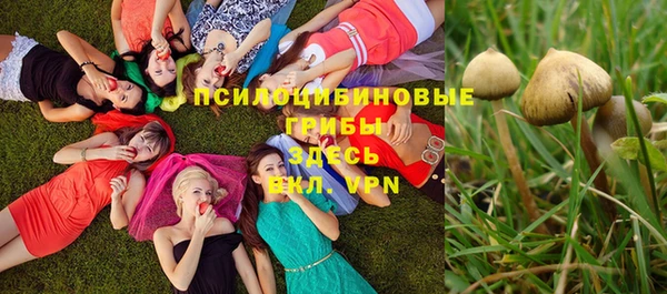 a pvp Россошь