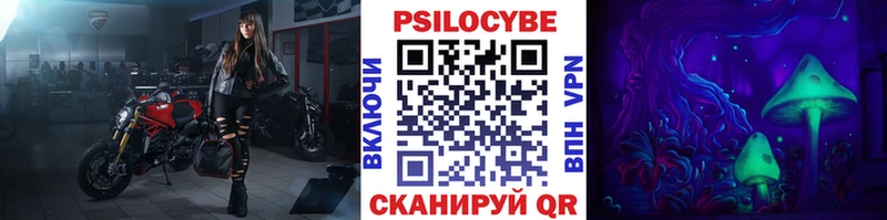 цены наркотик Будённовск Галлюциногенные грибы Cubensis